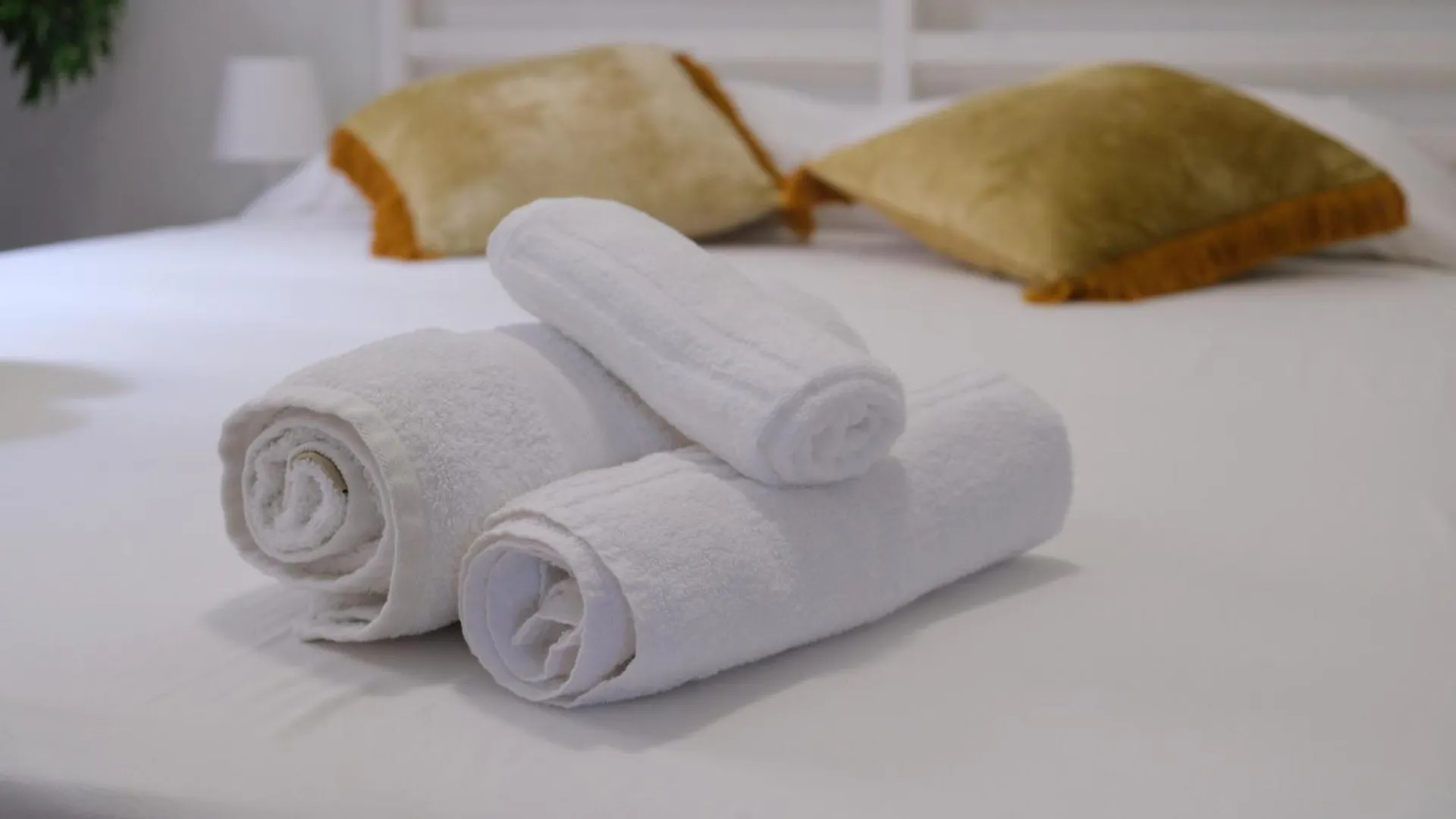 Suites Ricco Рим Гостевой дом